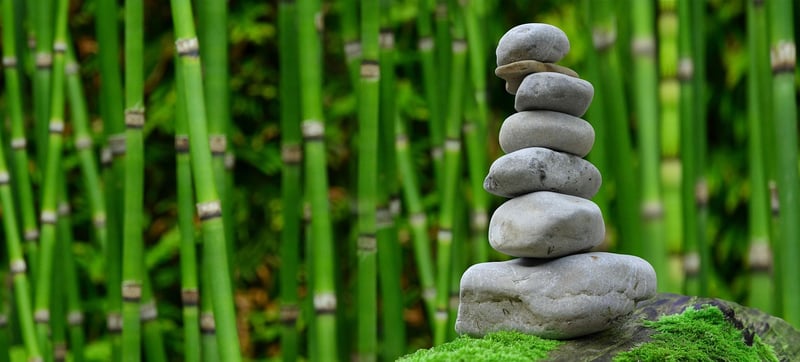 Japanese Garden